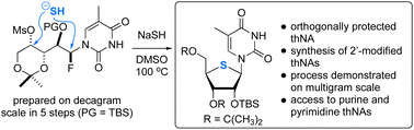 Graphical abstract: A flexible and scalable synthesis of 4′-thionucleosides