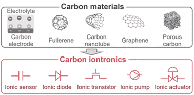 Graphical abstract: Carbon-based iontronics – current state and future perspectives