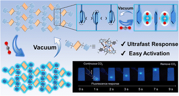 Graphical abstract: CO2-enhanced TADF of an ultra-stable Cu(i) cluster via guest–host π–π interaction
