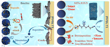 Graphical abstract: Multi-functional nitrile-based electrolyte additives enable stable lithium metal batteries with high-voltage nickel-rich cathodes