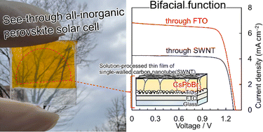 Graphical abstract: All-solution-processed inorganic CsPbBr3 solar cells and their bifacial-irradiation functions