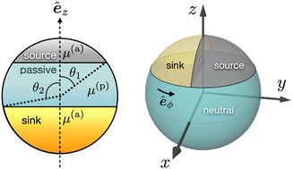 Graphical abstract: Phoresis kernel theory for passive and active spheres with nonuniform phoretic mobility