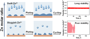 Graphical abstract: Unraveling the significance of the zinc ratio in water-in-salt electrolytes