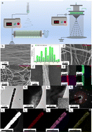 Graphical abstract: Synergistic effect of the PMIA nanofiber membrane with a dual-oriented network structure and Li0.5Bi0.5TiO3 nanofibers for high-performance lithium metal batteries