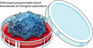 Graphical abstract: DNA functionalized programmable hybrid biomaterials for targeted multiplexed applications