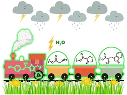 Graphical abstract: Photocaging of amino acids and short peptides by arylidenethiazoles: mechanism, photochemical characteristics and biological behaviour