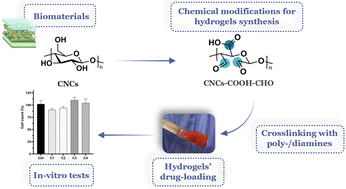 Graphical abstract: Nanocellulose with dual carboxy and aldehyde functionality: a modular platform for hydrogel formation and sustained drug release