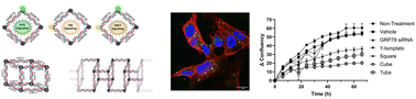 Graphical abstract: Supramolecular RNAi with multifunctional siRNA nanostructures