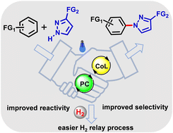 Graphical abstract: Facile oxidative amination with imidazole and l-histidine coordinated cobaloximes