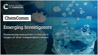 Graphical abstract: Contributors to the Emerging Investigators collection 2025: Part 2