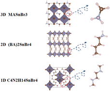 Graphical abstract: Differences and regulation of self-trapped luminescence in one-dimensional Pb-based and Sn-based perovskites