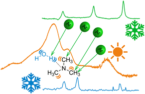 Graphical abstract: OH-stretching dynamics in trimethylamine monohydrate: what can we learn from three different direct absorption spectra?