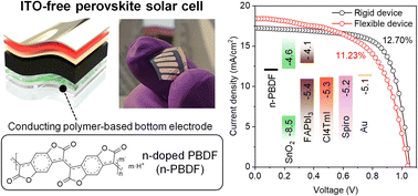 Graphical abstract: Enabling ITO-free perovskite solar cells through n-doped poly(benzodifurandione) (n-PBDF) electrodes