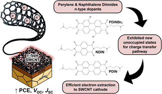 Graphical abstract: Exploiting perylene- and naphthalene-based planar aromatic n-type dopants for SWCNT cathodes in inverted perovskite solar cells