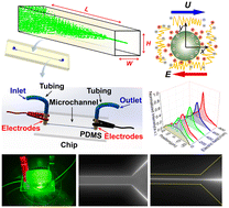Graphical abstract: High-throughput nanoparticle manipulation via controlled electro-elasticity and Joule heating in microchannels