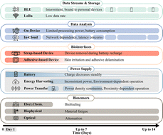 Graphical abstract: Continuous biosignal acquisition beyond the limit of epidermal turnover