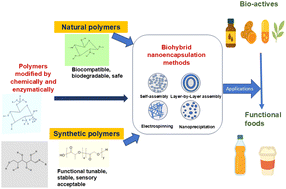 Graphical abstract: Hybrid nanoencapsulation systems: integrating natural polymers with synthetic nanomaterials for enhanced delivery of bioactive compounds in functional foods