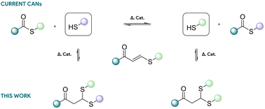 Graphical abstract: Enhancing the robustness of thiol–thioester covalent adaptable networks through reversible thiol–Michael masking