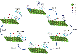 Graphical abstract: Electrocatalytic hydrogenation of quinoxaline using CoO/NF in organic molecular redox flow batteries