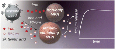 Graphical abstract: Self-assembled nanomaterials enable extended lithium release
