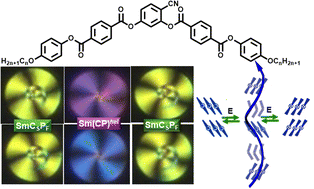 Graphical abstract: Heliconical smectic phases with transversal polar order