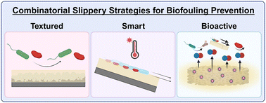 Graphical abstract: Slippery lubricant-infused surfaces with anti-fouling and antimicrobial properties for preventing biofouling in biomedical applications