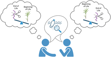 Graphical abstract: The plastics problem: a qualitative life cycle analysis case study for green and sustainable chemistry education