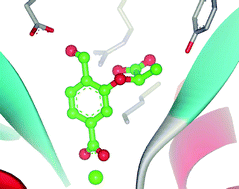 Graphical abstract: Design and synthesis of aromatic inhibitors of anthranilate synthase