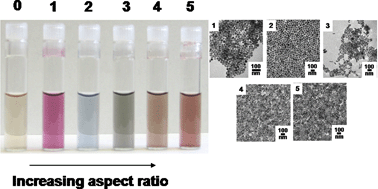 Graphical abstract: Chemical sensing and imaging with metallic nanorods