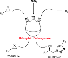 Graphical abstract: One pot ‘click’ reactions: tandem enantioselective biocatalytic epoxide ring opening and [3+2] azide alkyne cycloaddition