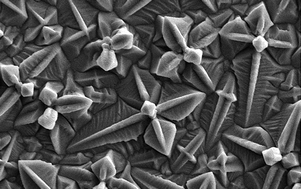 Graphical abstract: Electrodeposition of Cu2O films and their photoelectrochemical properties