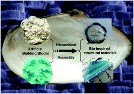 Graphical abstract: Hierarchical assembly of micro-/nano-building blocks: bio-inspired rigid structural functional materials