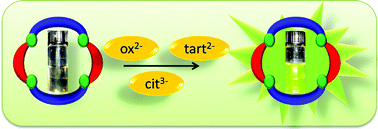 Graphical abstract: Self-assembled metalla-bowls for selective sensing of multi-carboxylate anions