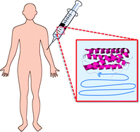 Graphical abstract: FDA-approved poly(ethylene glycol)–protein conjugate drugs