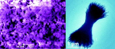Graphical abstract: Growth of calcium vanadate nanorods