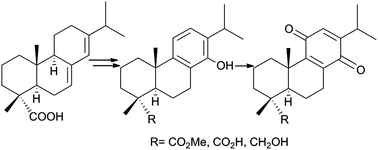 Graphical abstract: Cytotoxic, immunomodulatory, antimycotic, and antiviral activities of semisynthetic 14-hydroxyabietane derivatives and triptoquinone C-4 epimers