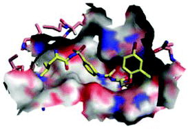 Graphical abstract: Discovery of N-(4-sulfamoylphenyl)thioureas as Trypanosoma brucei leucyl-tRNA synthetase inhibitors