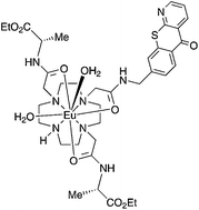 Graphical abstract: Emissive europium complexes that stain the cell walls of healthy plant cells, pollen tubes and roots