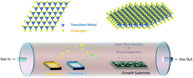 Graphical abstract: Recent advances in controlled synthesis of two-dimensional transition metal dichalcogenides via vapour deposition techniques