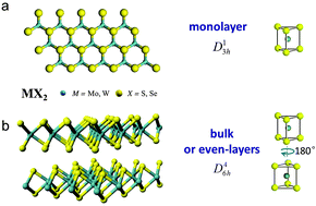 Graphical abstract: An optical spectroscopic study on two-dimensional group-VI transition metal dichalcogenides