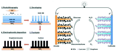 Graphical abstract: Graphene/enzyme-encrusted three-dimensional carbon micropillar arrays for mediatorless micro-biofuel cells