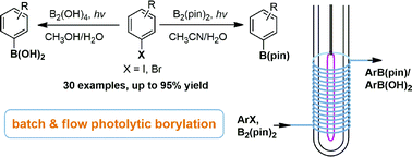 Graphical abstract: Efficient metal-free photochemical borylation of aryl halides under batch and continuous-flow conditions