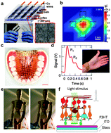 Graphical abstract: Toward organic electronics with properties inspired by biological tissue