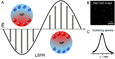 Graphical abstract: Single plasmonic nanoparticles as ultrasensitive sensors