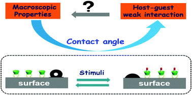 Graphical abstract: Macroscopic switches constructed through host–guest chemistry