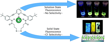 Graphical abstract: Harnessing solid-state packing for selective detection of chloride in a macrocyclic anionophore