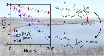 Graphical abstract: Transformation of chlorpyrifos and chlorpyrifos-methyl in prairie pothole pore waters