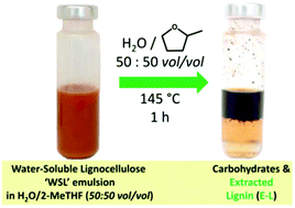 Graphical abstract: Biphasic extraction of mechanocatalytically-depolymerized lignin from water-soluble wood and its catalytic downstream processing