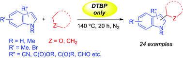 Graphical abstract: Oxidative coupling between C(sp2)–H and C(sp3)–H bonds of indoles and cyclic ethers/cycloalkanes