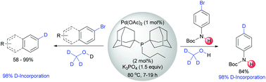 Graphical abstract: Catalytic selective deuteration of halo(hetero)arenes